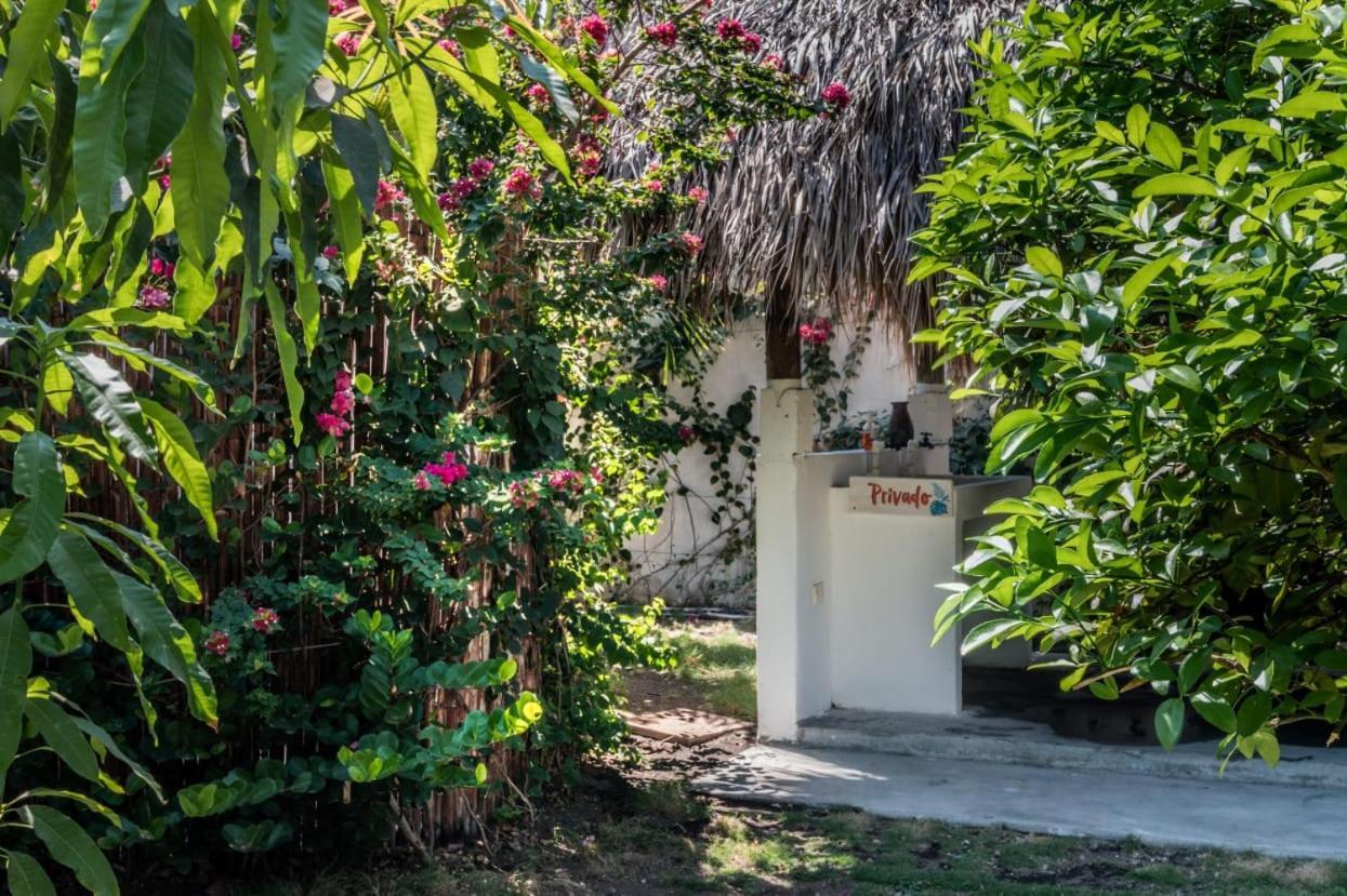 Zoah Surf Boutique Hotel, El Paredon El Paredón Buena Vista Kültér fotó
